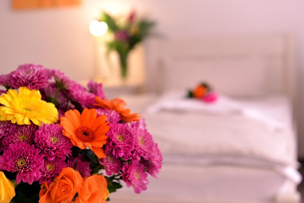 Alpha Hotel Garni ดีทเซนบาค ภายนอก รูปภาพ