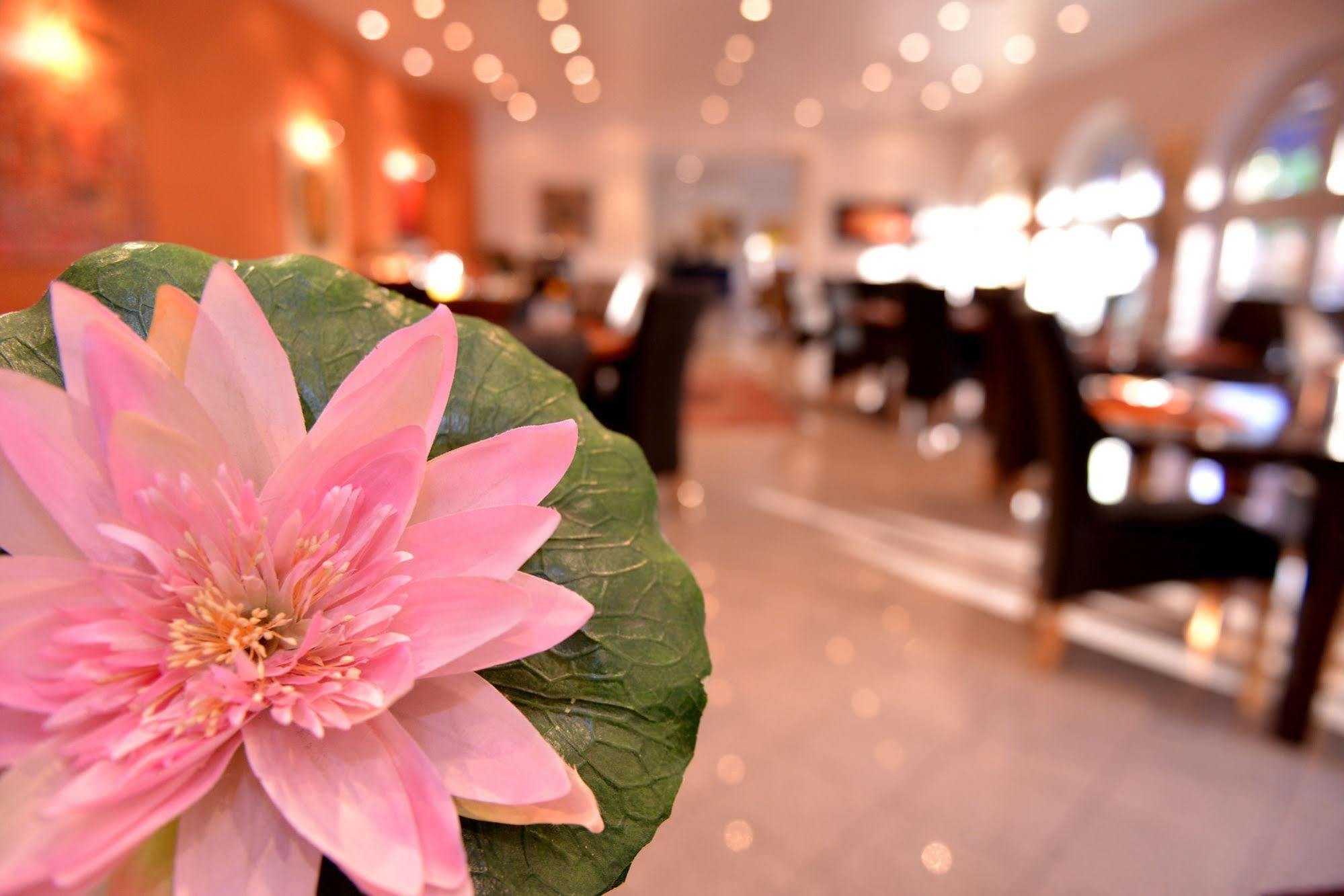 Alpha Hotel Garni ดีทเซนบาค ภายนอก รูปภาพ