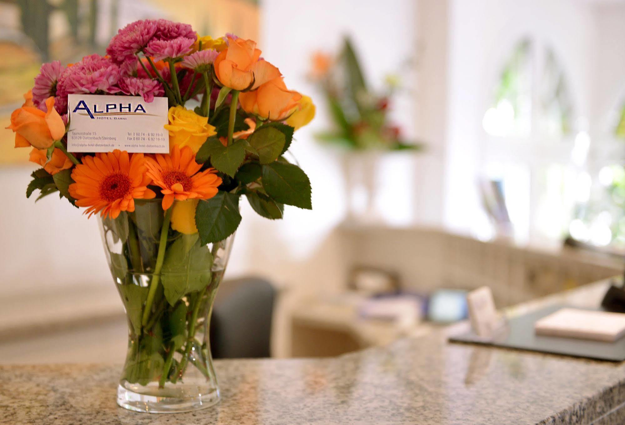 Alpha Hotel Garni ดีทเซนบาค ภายนอก รูปภาพ